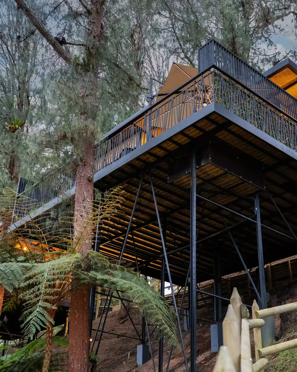 Cabaña de madera elevada entre árboles, con terraza.