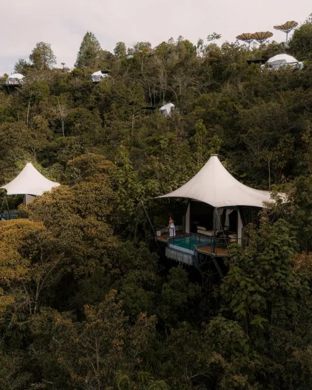 Domos y carpas de glamping repartidos entre los árboles de una ladera boscosa.